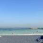 ATOR Has Asked the Ministry of Economic Development to Allow Sales of Package Tours to the UAE
