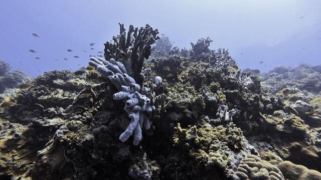 Paradise Islands in the Center of Southeast Asia