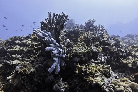 Paradise Islands in the Center of Southeast Asia