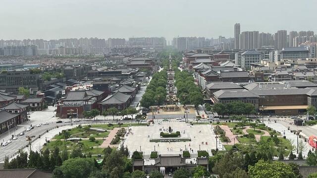 Visa cancellation in China: interest has already grown