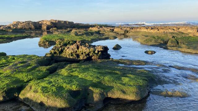 Israel: flight program from Russia and its development plans