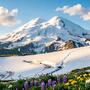 Mount Elbrus: lawmakers urged to mandate certified guides after seven deaths