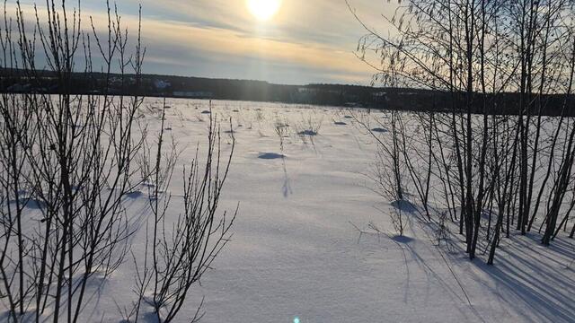 Finnish region loses €1 million per day without Russian tourists