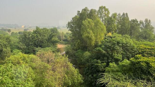 Visa to India is Now Free for Russian Tourists