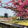 Demand for travel to Japan remains high