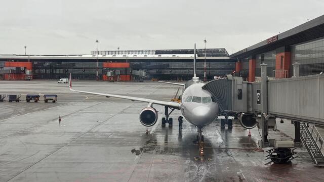 No flights, no business: travel agency closures soar 34%