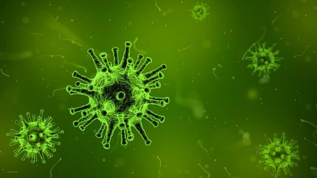 Coronavirus in Russia: the latest news. April 18
