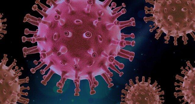 Coronavirus infection in Russia. Moscow’s non-working week